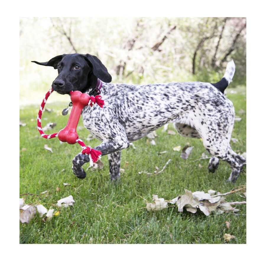 Kong Goodie Bone Osso com corda para c&atilde;es, , large Imagem n&uacute;mero 2