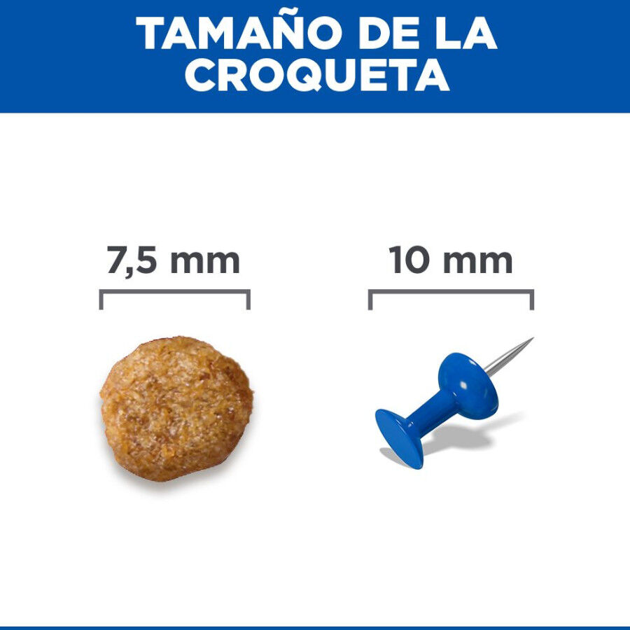 1.5 kg Hill's Small y Mini Senior Science Plan Frango ra&ccedil;&atilde;o para c&atilde;es, , large Imagem n&uacute;mero 8