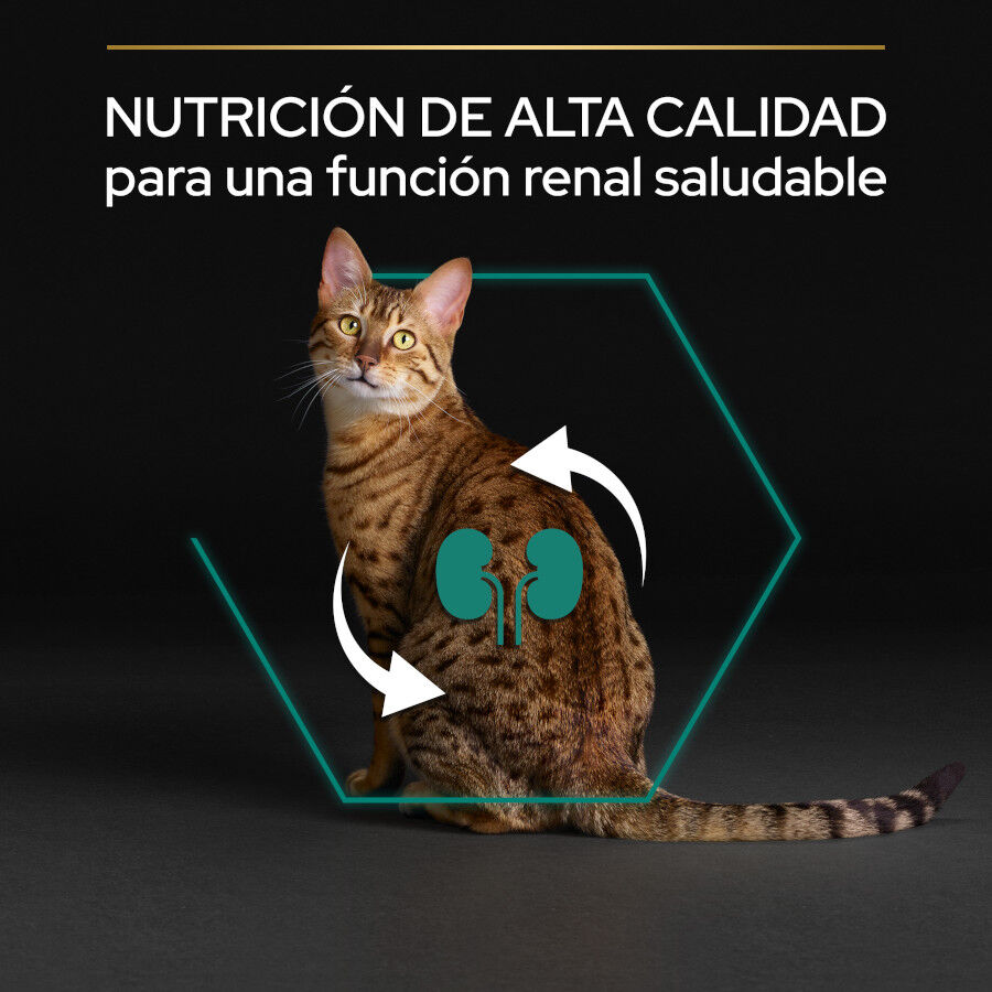 10 kg Pro Plan Adult Renal Plus Frango ra&ccedil;&atilde;o para gatos, , large Imagem n&uacute;mero 6