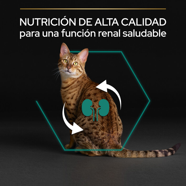 10 kg Pro Plan Adult Renal Plus Frango ração para gatos,  Imagem número 6 10 kg Pro Plan Adult Renal Plus Frango ração para gatos, , large Imagem número 6