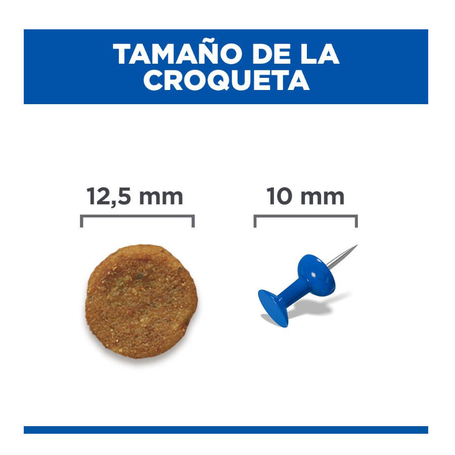 14 kg Hill's Science Plan Adult Medium Frango ra&ccedil;&atilde;o para c&atilde;es, , large Imagem n&uacute;mero 8