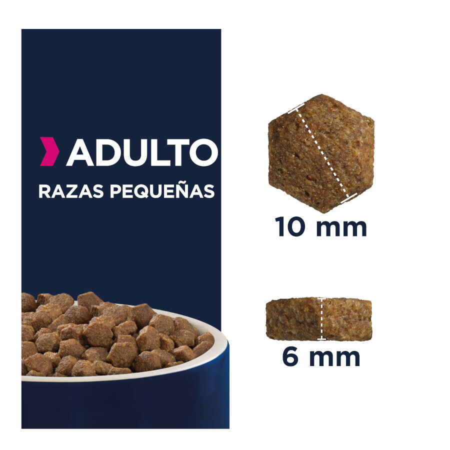 3 kg Eukanuba Small Frango ra&ccedil;&atilde;o para c&atilde;es, , large Imagem n&uacute;mero 2