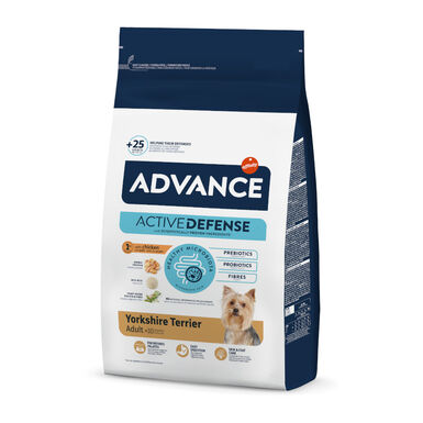 Advance Active Defense Yorkshire Terrier Adult Frango e Arroz ração para cães