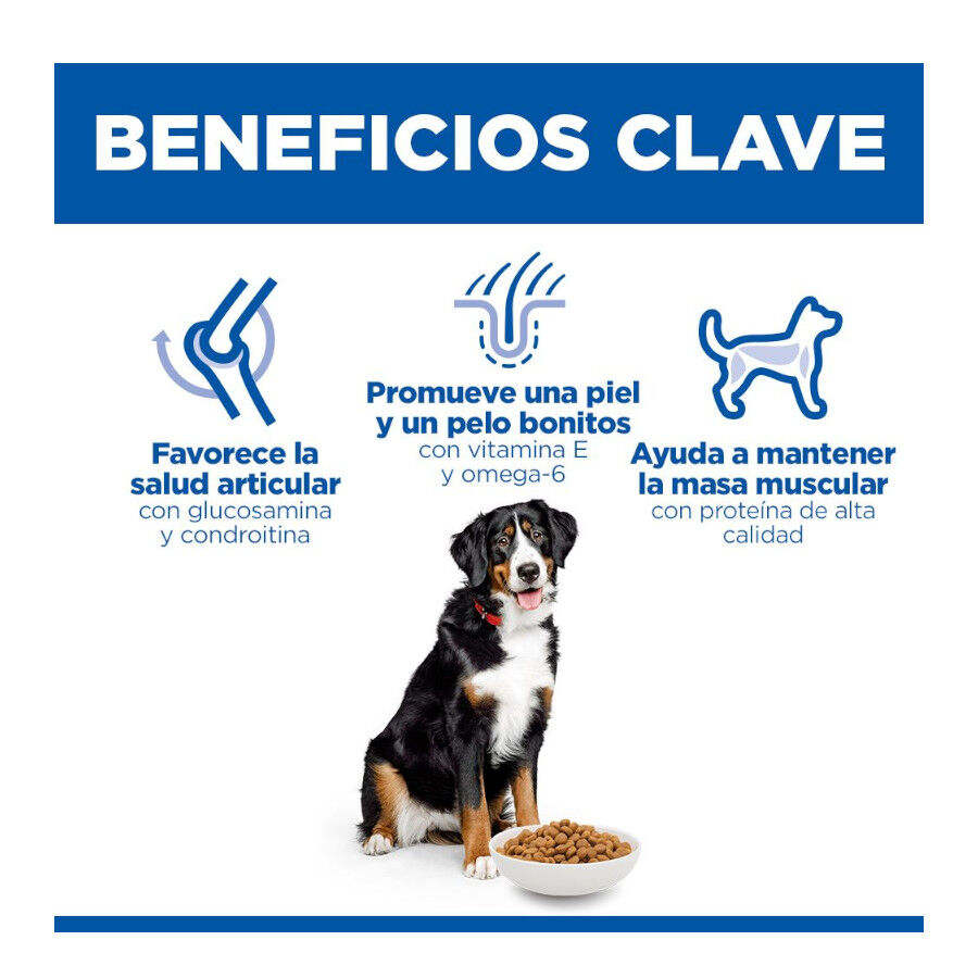 14 kg Hill's Science Plan Large Adult Frango ra&ccedil;&atilde;o para c&atilde;es, , large Imagem n&uacute;mero 6