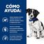 48 latas x 156 g Hill's Prescription Diet Digestive Care Guisado de Frango e Legumes lata para cães Pack poupança!, , large Indicador imagem número 4