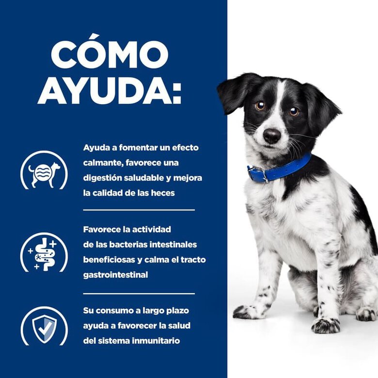 156 g Hill's Prescription Diet Digestive Care Guisado de Frango e Legumes lata para cães,  Imagem número 4 156 g Hill's Prescription Diet Digestive Care Guisado de Frango e Legumes lata para cães, , large Imagem número 4