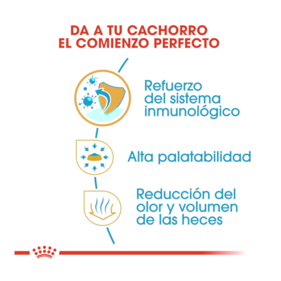 Royal Canin Puppy Chihuahua ra&ccedil;&atilde;o para c&atilde;es , , large Imagem n&uacute;mero 6