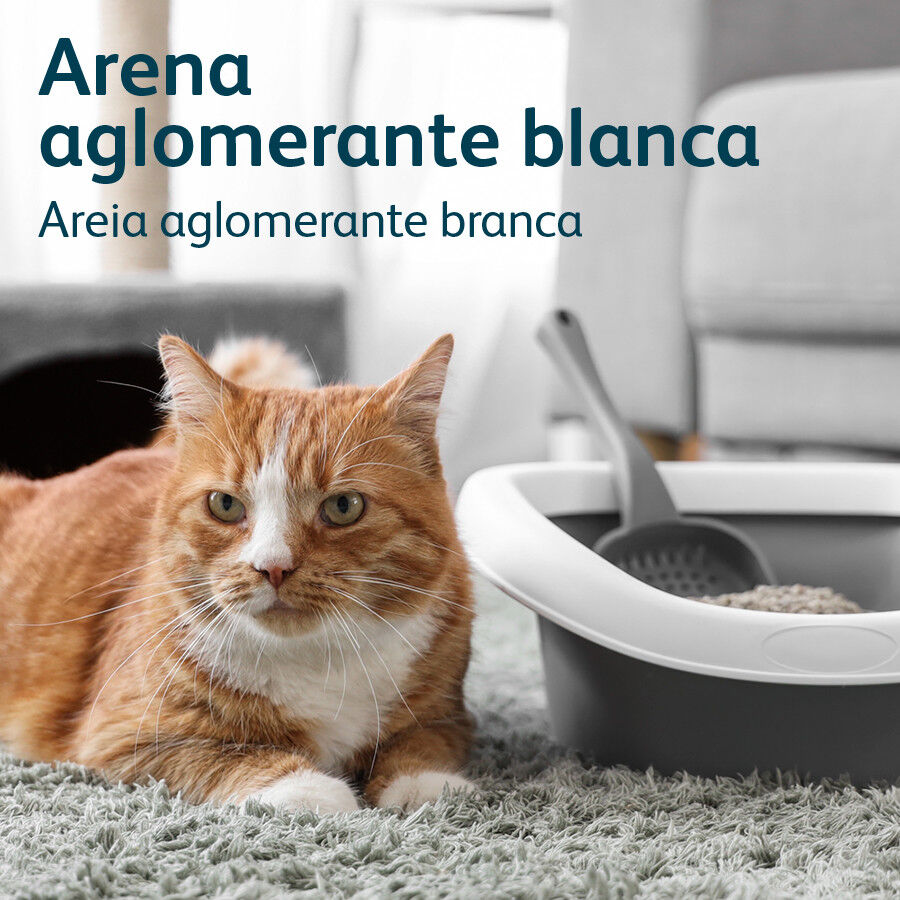 Nova Clean Ultra Areia Aglomerante de P&oacute; de Talco para gatos, , large Imagem n&uacute;mero 3