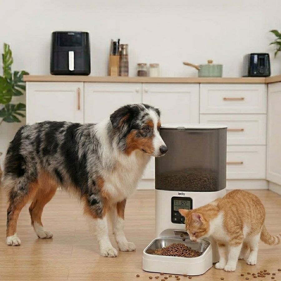 Leeby Comedouro Autom&aacute;tico Program&aacute;vel Branco e Cinzento para c&atilde;es e gatos, , large Imagem n&uacute;mero 1