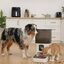 Leeby Comedouro Autom&aacute;tico Program&aacute;vel Branco e Cinzento para c&atilde;es e gatos, , large Indicador imagem n&uacute;mero 1