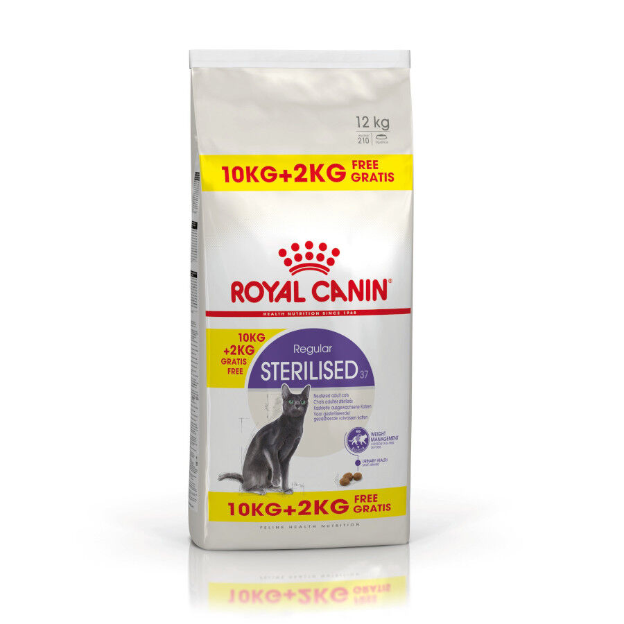 12 kg (10 + 2 kg gr&aacute;tis!) Royal Canin Regular Sterilised 37 ra&ccedil;&atilde;o para gatos, , large Imagem n&uacute;mero 1