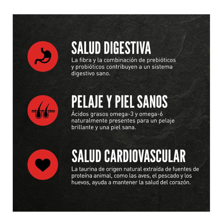 4.5 kg Orijen Guardián 8 Ração para gatos,  Imagem número 4 4.5 kg Orijen Guardián 8 Ração para gatos, , large Imagem número 4