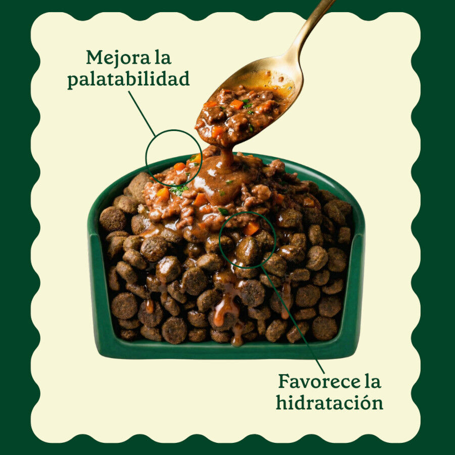 85 g Wild Balance Toppers Ternera salsa para perros, , large Imagem n&uacute;mero 3