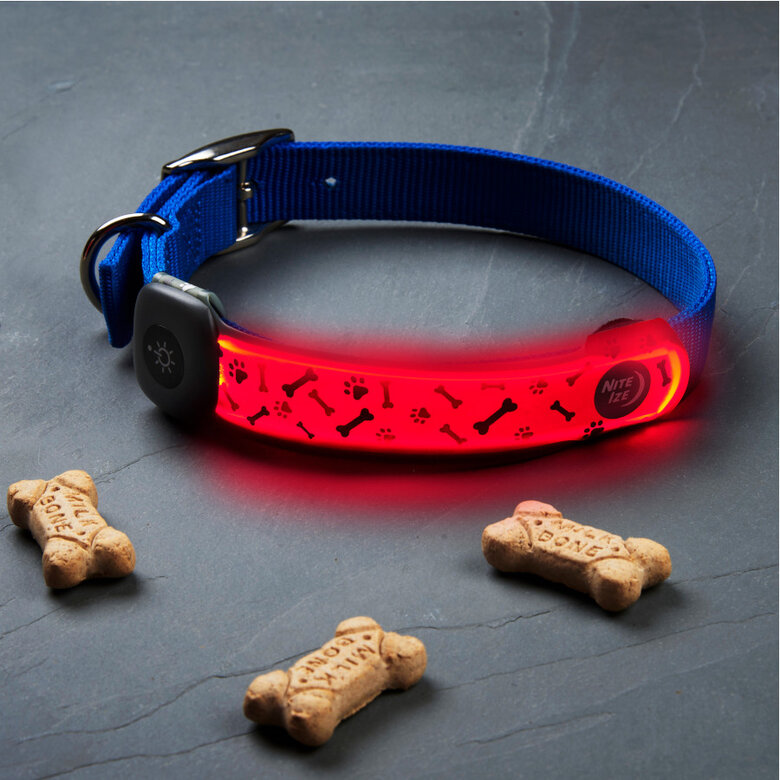 Nite Ize NiteDog Banda LED Recarregável para cães,  Imagem número 6 Nite Ize NiteDog Banda LED Recarregável para cães, , large Imagem número 6