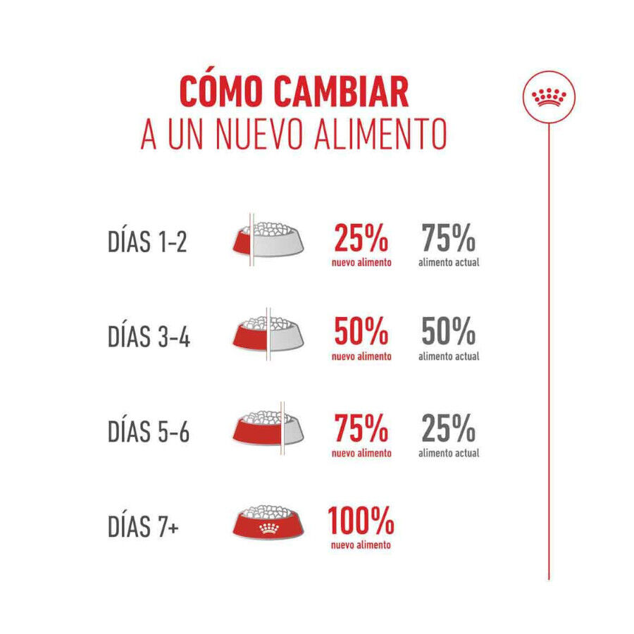 4 kg Royal Canin Ageing +15 Ra&ccedil;&atilde;o para gato s&eacute;nior, , large Imagem n&uacute;mero 7