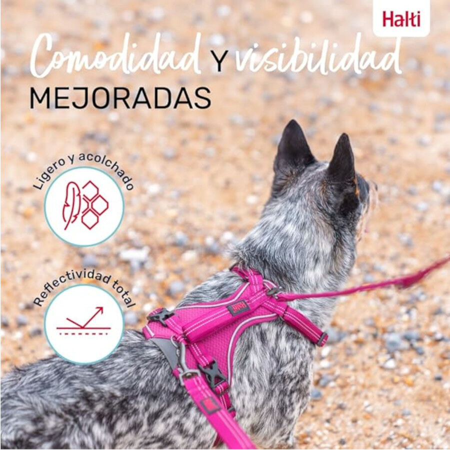 Halti Peitoral Anat&oacute;mico Magenta para c&atilde;es pequenos, , large Imagem n&uacute;mero 5