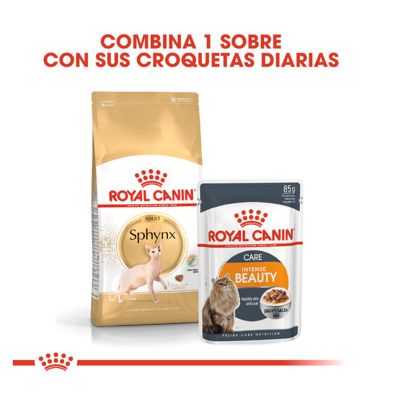 10 kg Royal Canin Adult Sphynx ração para gatos,  Imagem número 3 10 kg Royal Canin Adult Sphynx ração para gatos, , large Imagem número 3