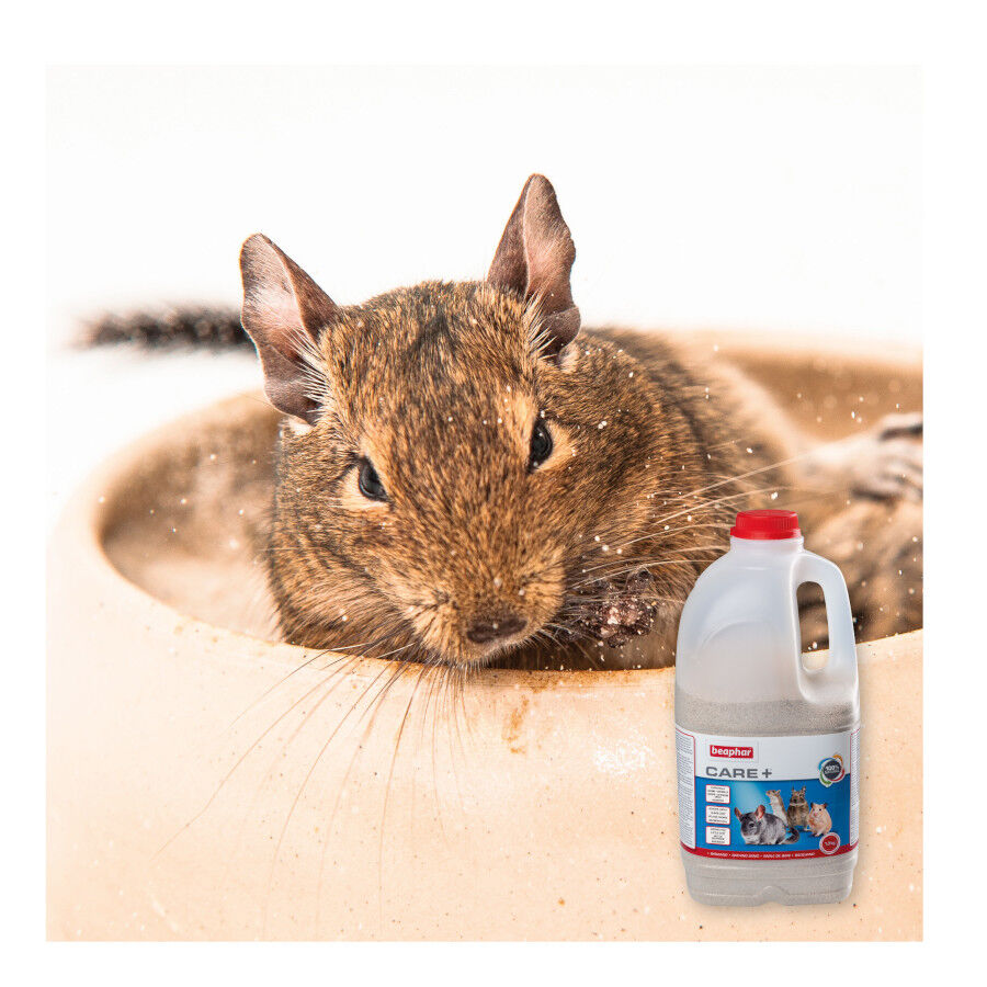 Beaphar XtraVital Areia de Banho para chinchilas, , large Imagem n&uacute;mero 5