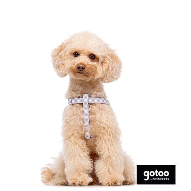Gotoo Peitoral estampado xadrez vichy cinza para cães