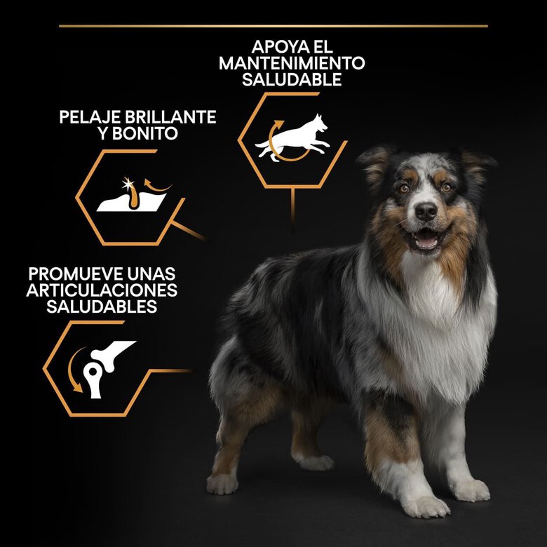 16.5 kg (14 + 2.5 kg grátis!) Pro Plan Medium Adult Frango ração para cães,  Imagem número 3 16.5 kg (14 + 2.5 kg grátis!) Pro Plan Medium Adult Frango ração para cães, , large Imagem número 3