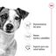 85 g Royal Canin Mini Adult saqueta em molho para cães, , large Indicador imagem número 3