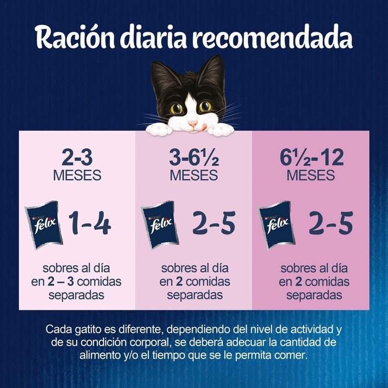 4 saquetas x 85 g Felix Junior Fantastic Carne e Peixe em Geleia saqueta - Multipack,  Imagem número 3 4 saquetas x 85 g Felix Junior Fantastic Carne e Peixe em Geleia saqueta - Multipack, , large Imagem número 3