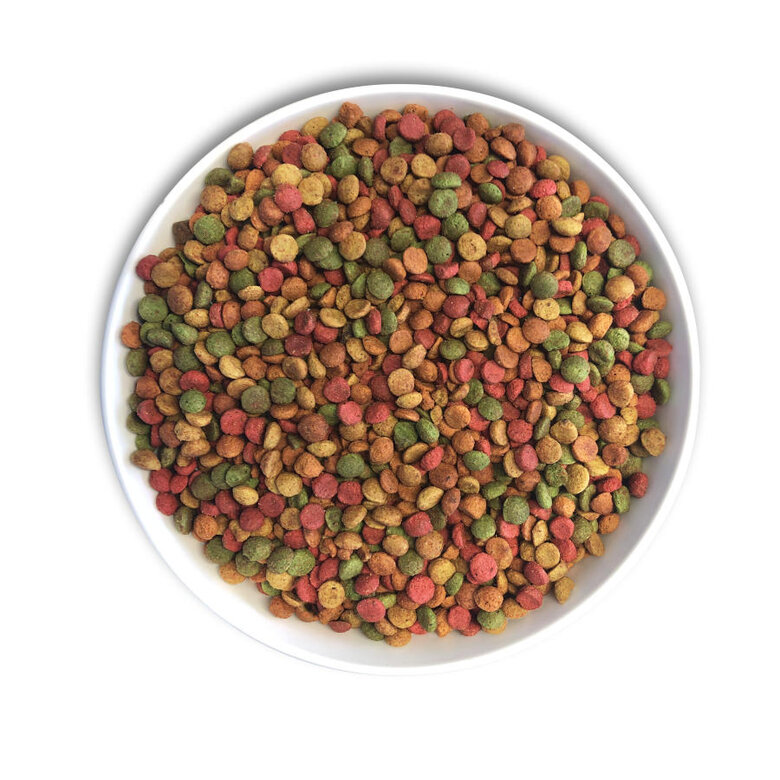 1 kg Cunipic Alpha Pro Parrots Tropical Blend  Comida para Papagaios,  Imagem número 3 1 kg Cunipic Alpha Pro Parrots Tropical Blend  Comida para Papagaios, , large Imagem número 3