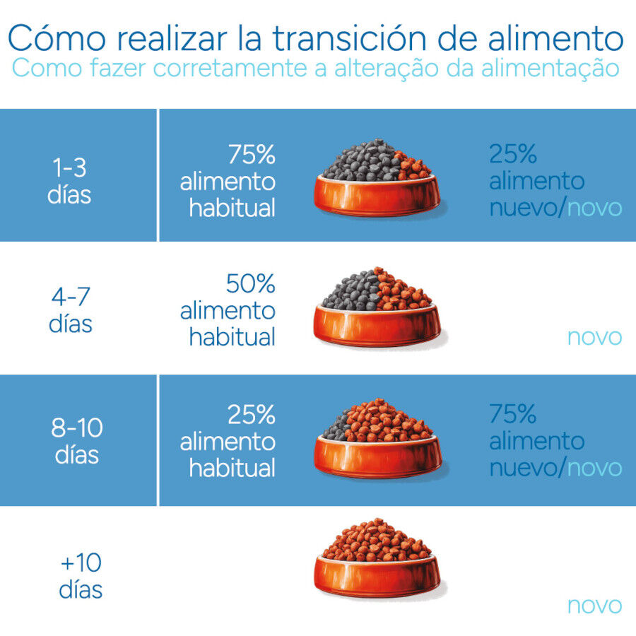 Criadores Cient&iacute;fico Kitten Ra&ccedil;&atilde;o de frango para gatinhos, , large Imagem n&uacute;mero 10