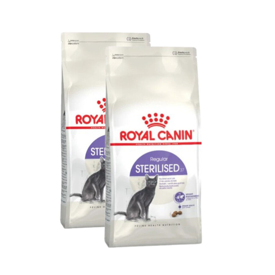 2 x 2 kg Royal Canin Regular Sterilised 37 ra&ccedil;&atilde;o para gatos Pack poupan&ccedil;a!, , large Imagem n&uacute;mero 1