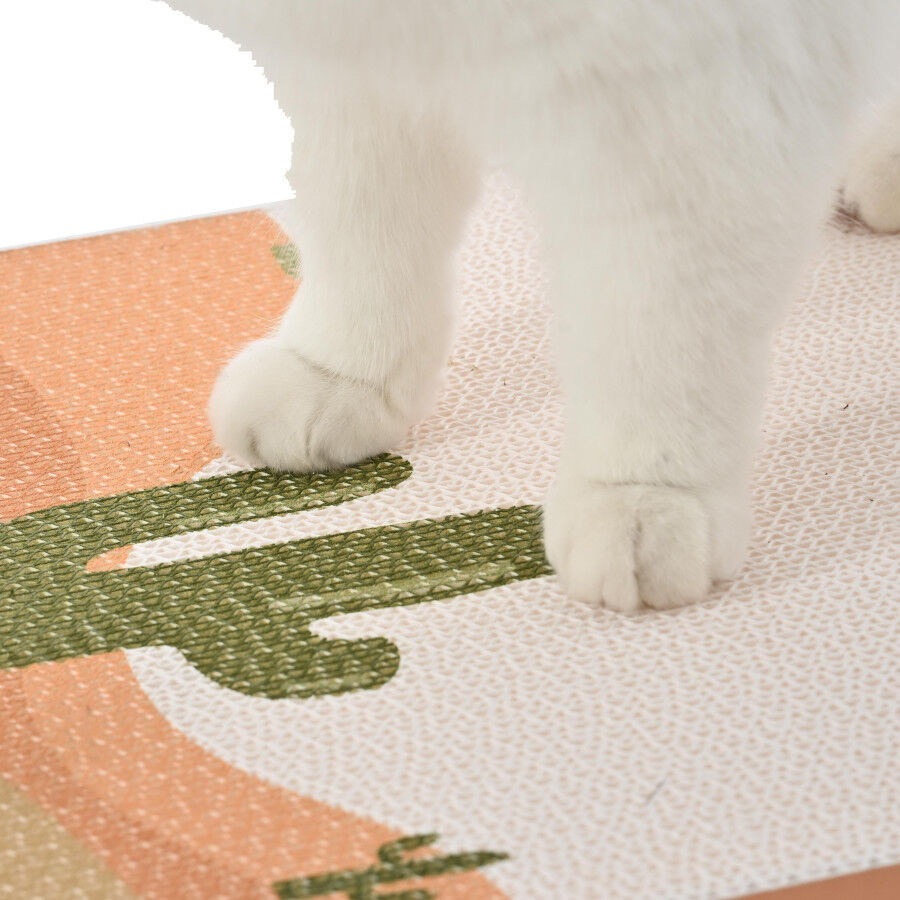 Leeby Darcy t&aacute;bua arranhadora de cart&atilde;o para gatos, , large Imagem n&uacute;mero 7
