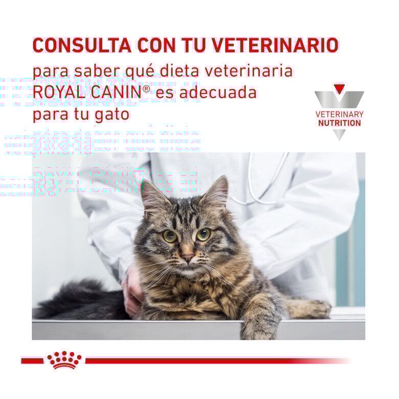 7 kg Royal Canin Veterinary Urinary ração para gatos,  Imagem número 7 7 kg Royal Canin Veterinary Urinary ração para gatos, , large Imagem número 7
