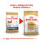 3 kg Royal Canin Adult Chihuahua ração para cães, , large Indicador imagem número 3