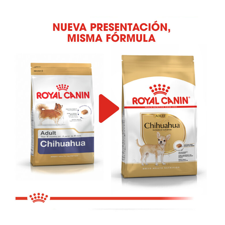3 kg Royal Canin Adult Chihuahua ração para cães,  Imagem número 3 3 kg Royal Canin Adult Chihuahua ração para cães, , large Imagem número 3