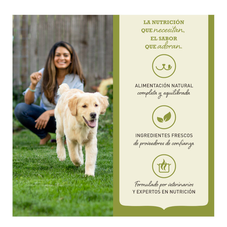 1.8 kg Acana Highest Protein Indoor Ra&ccedil;&atilde;o de frango, salm&atilde;o e truta para gatos, , large Imagem n&uacute;mero 3