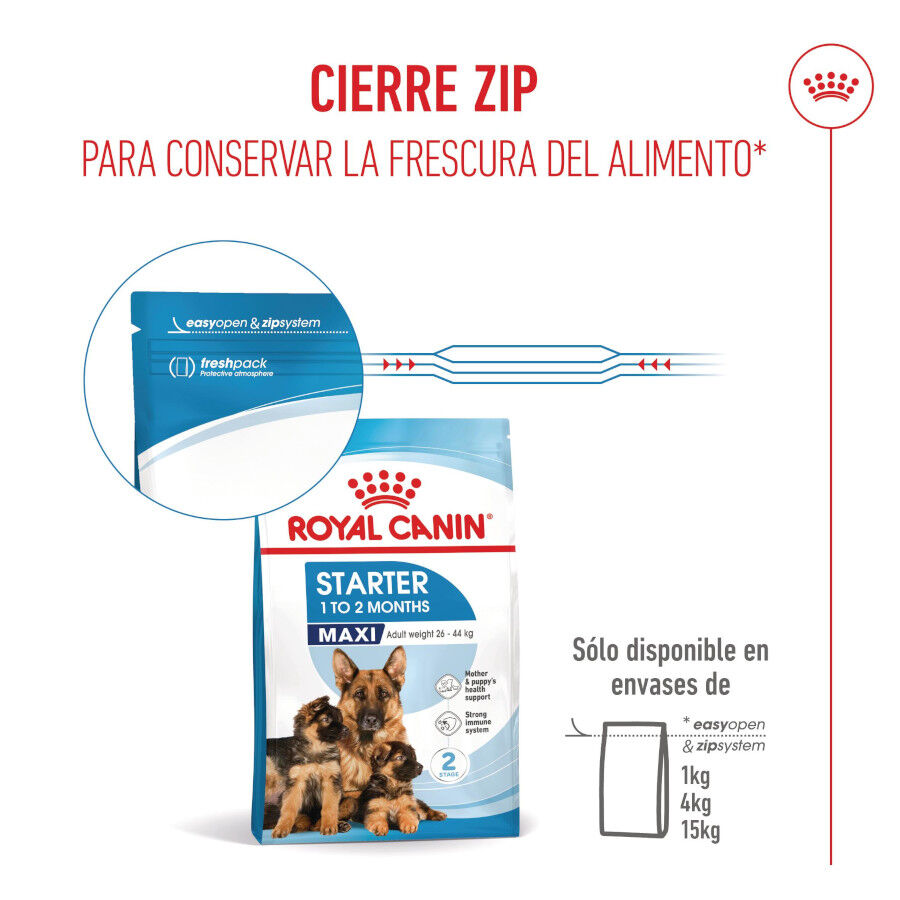 Royal Canin Starter Maxi MothereBaby ra&ccedil;&atilde;o para c&atilde;es, , large Imagem n&uacute;mero 9