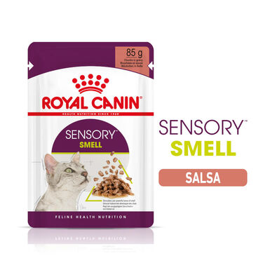 Royal Canin Adult Sensory Smell molho saqueta para gatos