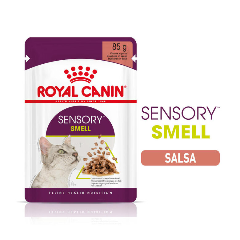 85 g Royal Canin Adult Sensory Smell molho saqueta para gatos,  Imagem número 1 85 g Royal Canin Adult Sensory Smell molho saqueta para gatos, , large Imagem número 1