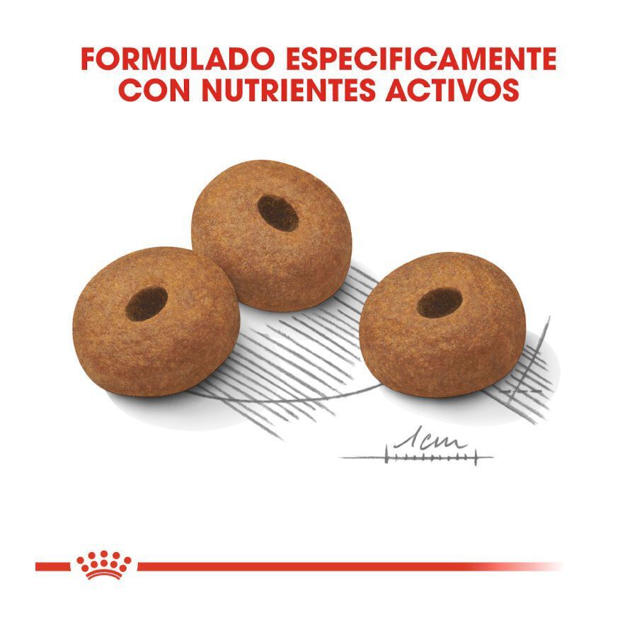 12 kg Royal Canin Maxi Light Weight Care ra&ccedil;&atilde;o para c&atilde;es, , large Imagem n&uacute;mero 4