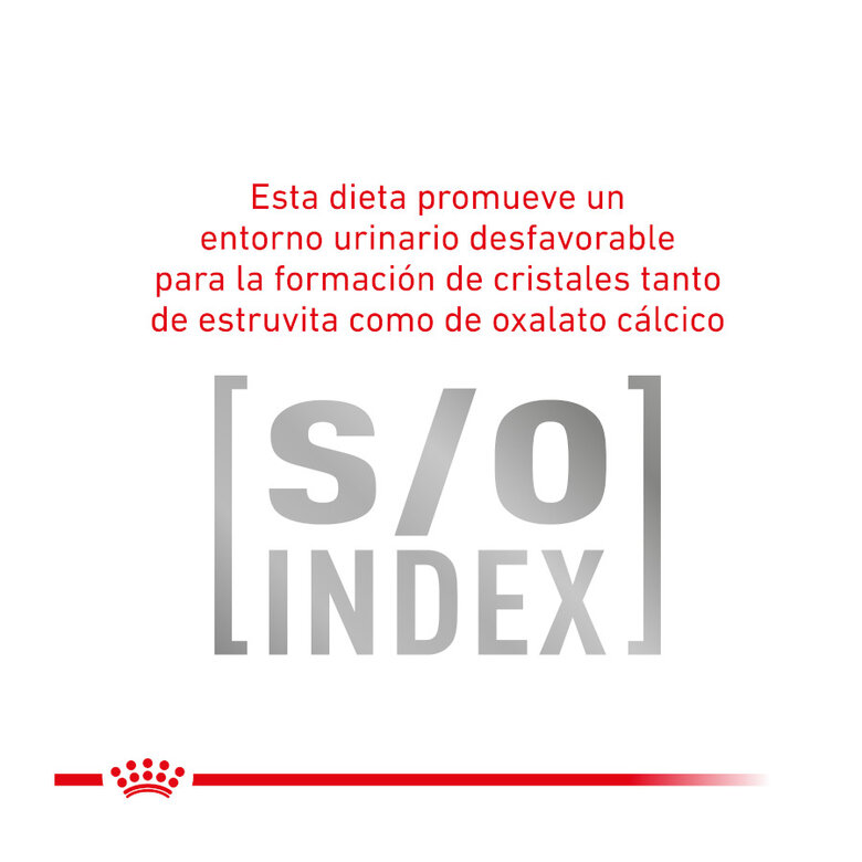 4 kg Royal Canin Veterinary Gastrointestinal Moderate Calorie ração para gatos,  Imagem número 5 4 kg Royal Canin Veterinary Gastrointestinal Moderate Calorie ração para gatos, , large Imagem número 5