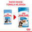 140 g Royal Canin Maxi Puppy Alimento húmido para cães, , large Indicador imagem número 3