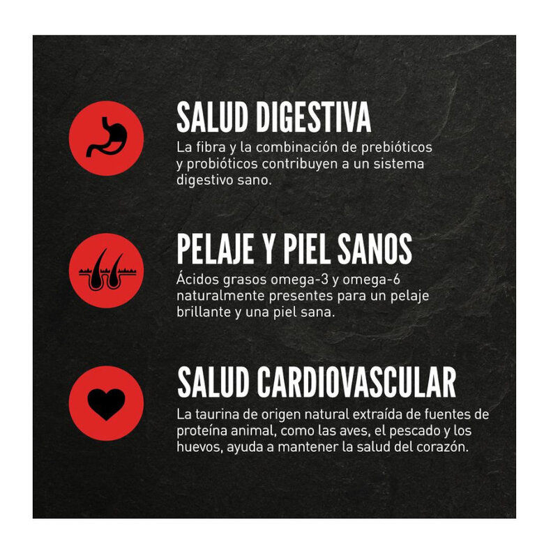 5.4 kg Orijen Original ração para gatos e gatinhos,  Imagem número 4 5.4 kg Orijen Original ração para gatos e gatinhos, , large Imagem número 4