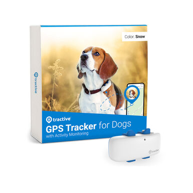 Tractive Localizador GPS para cães