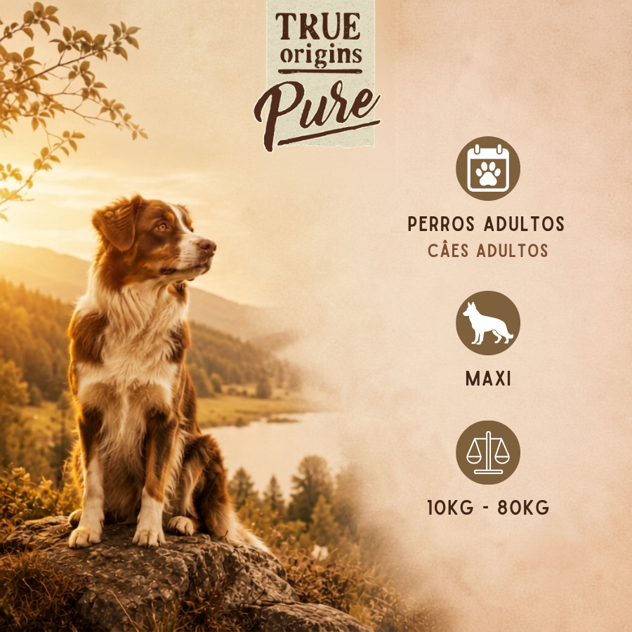 12 kg True Origins Pure Grain Free Adult Maxi Frango ra&ccedil;&atilde;o para c&atilde;es, , large Imagem n&uacute;mero 3