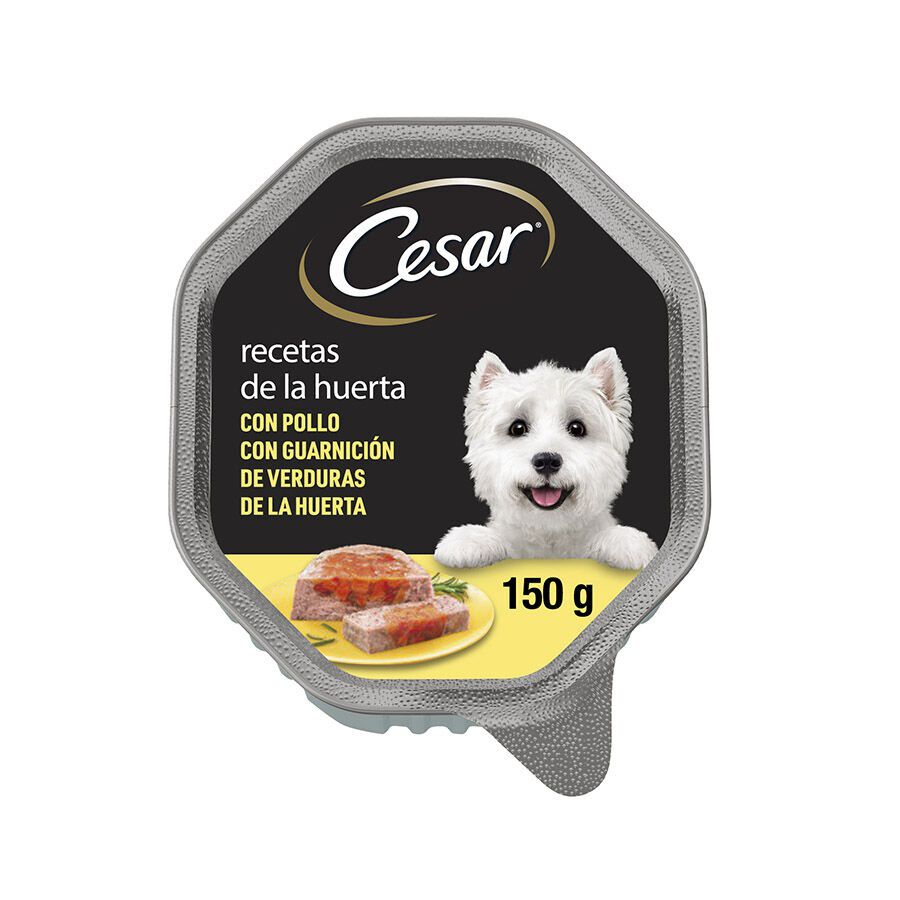 150 g Cesar Recetas da horta terrina em pat&ecirc; para c&atilde;es, , large Imagem n&uacute;mero 1