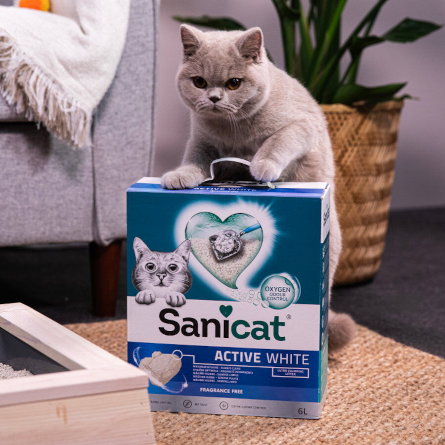 10 L Sanicat Clumping White Areia Aglomerante Branca para gatos, , large Imagem n&uacute;mero 4