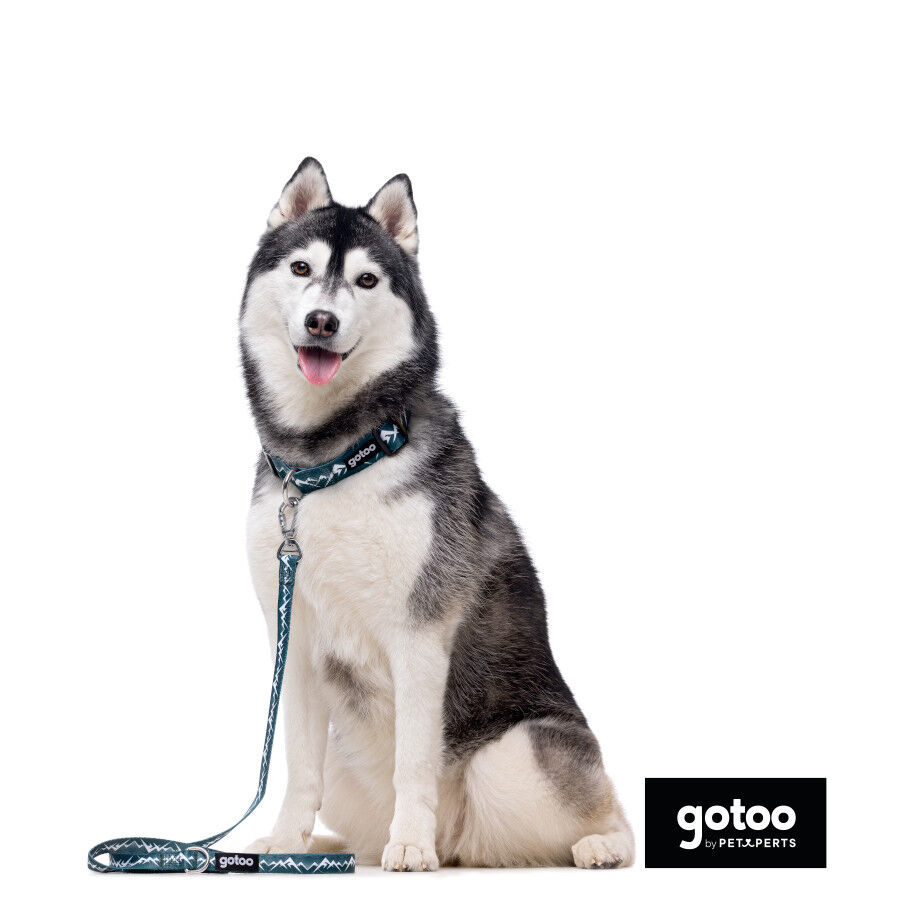 Gotoo Coleira estampada verde para c&atilde;es, , large Imagem n&uacute;mero 6