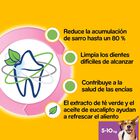 Pedigree Dentastix Fresh Snacks Dentários para Cães Pequenos, , large image number null