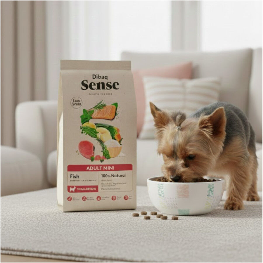 Dibaq Sense Low Grain Adult Mini Ra&ccedil;&atilde;o de Peixe para c&atilde;es, , large Imagem n&uacute;mero 5