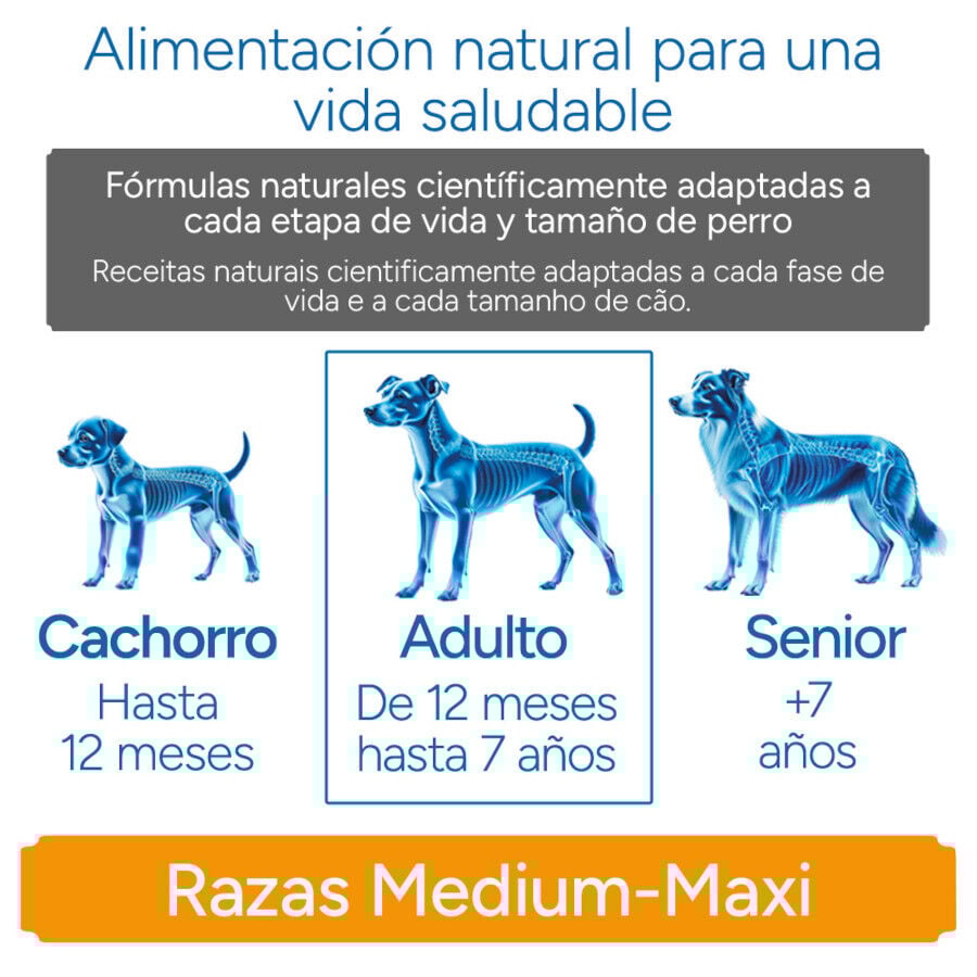 Criadores Cient&iacute;fico Light -46% de gordura Adulto Medium-Maxi Ra&ccedil;&atilde;o de frango para c&atilde;es, , large Imagem n&uacute;mero 11