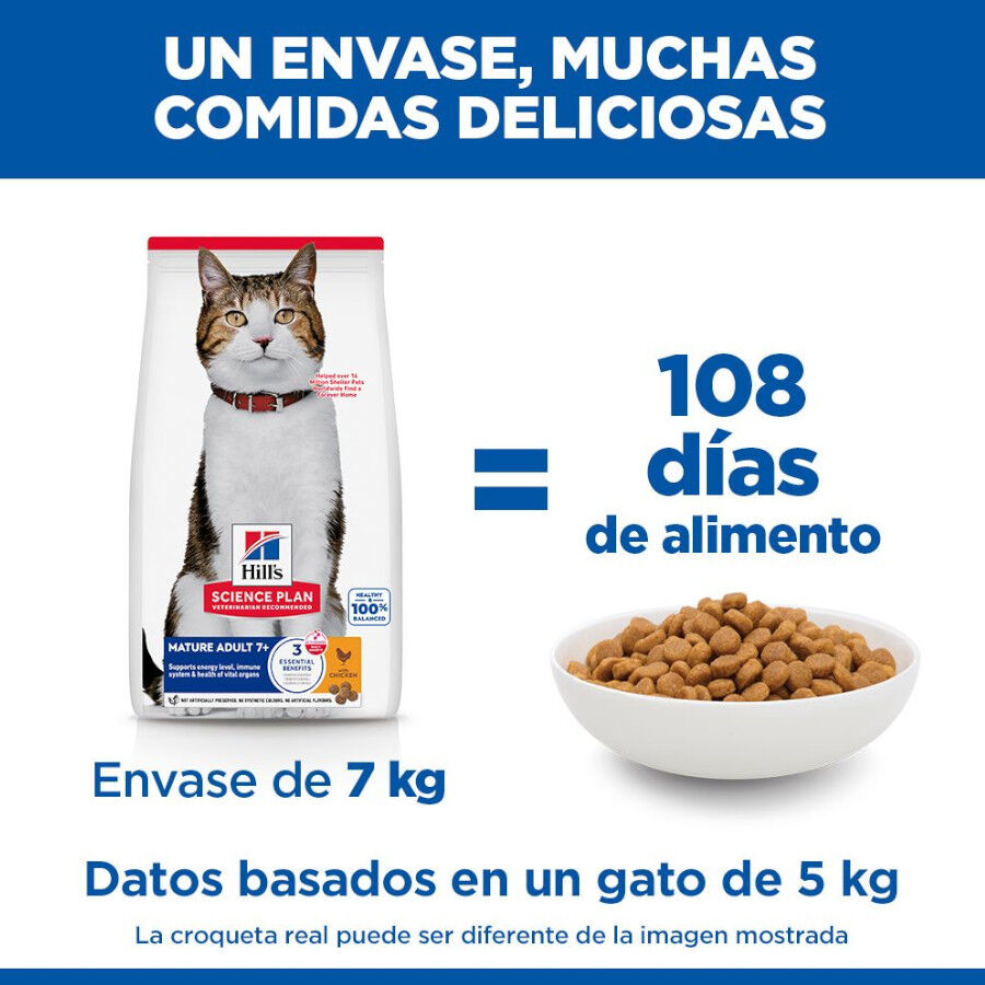 10 kg Hill's Mature Adult Science Plan Frango ra&ccedil;&atilde;o para gatos, , large Imagem n&uacute;mero 5